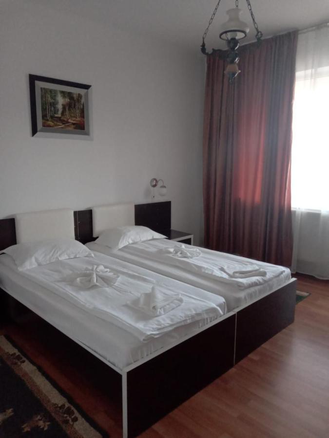 Hotel Turist Pucioasa Buitenkant foto